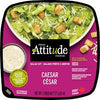 FRESH ATTITUDE CAESAR [171 GM]