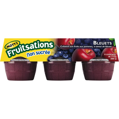 MOTTS FRUITSAT BLUEBERRY [6 PK]