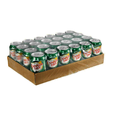 CAN DRY GINGER ALE 24x355ml [24 PK]