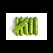 CUCUMBER MINI GOURMET