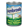 AMBROSIA DEVEN CUSTARD [400 GM]