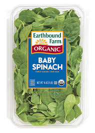 CLASSIC SALAD BABY SPINACH