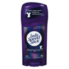 LADY SPEED STK POWDER FR [65 GM]