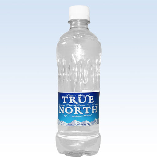 TRUE NORTH SPRING WATER [500 ml]