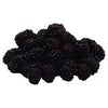 DRISCOLLS FRESH BLACKBERRIES [1 ea]