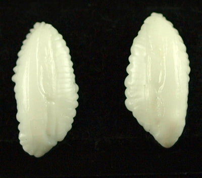 S/URCHIN CODS EAR STUD EARRING [1 EA]