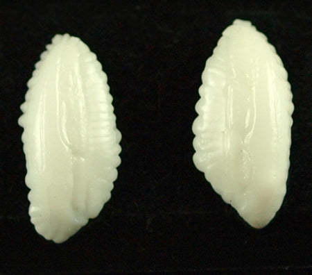 S/URCHIN CODS EAR STUD EARRING [1 EA]