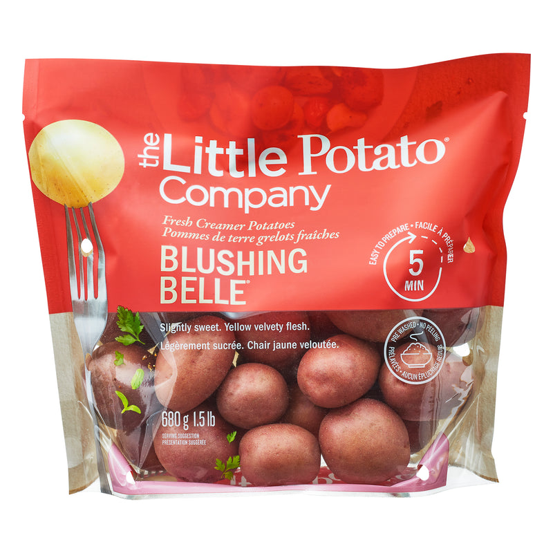 LITTLE PORTION BLUSHING BELLE [1.5 lb]