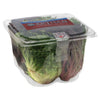 T&A ARTISAN SALAD [4 PK]