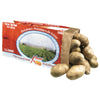 ROUND WHT POTATOES (PAPER) [10 lb]