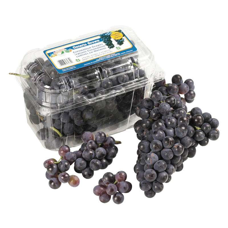 CONCORD GRAPE 1.5 LT BASKET [1.5 LT]