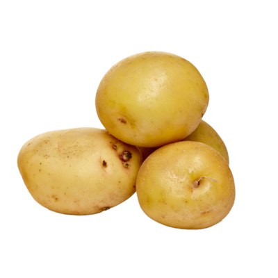 YUKON GOLD POTATO 5LB BAG [5 lb]