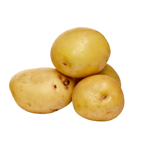 YUKON GOLD POTATO 5LB BAG [5 lb]
